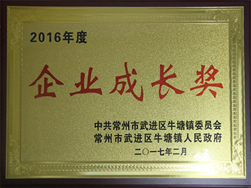 企业成长奖